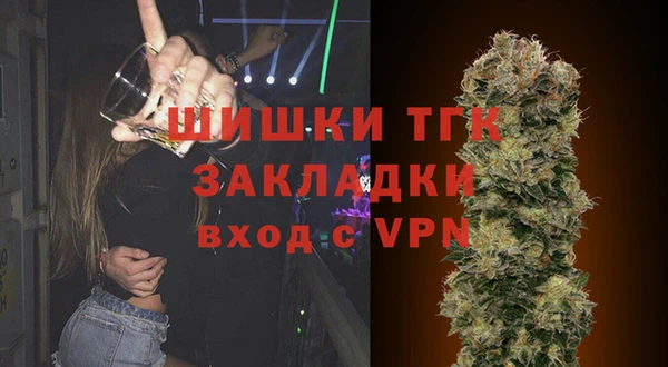 ГАЛЛЮЦИНОГЕННЫЕ ГРИБЫ Вяземский